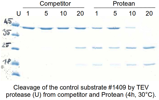 3C and TEV proteases substrate